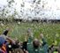 Huish Park Huish Park